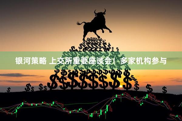 银河策略 上交所重要座谈会！多家机构参与