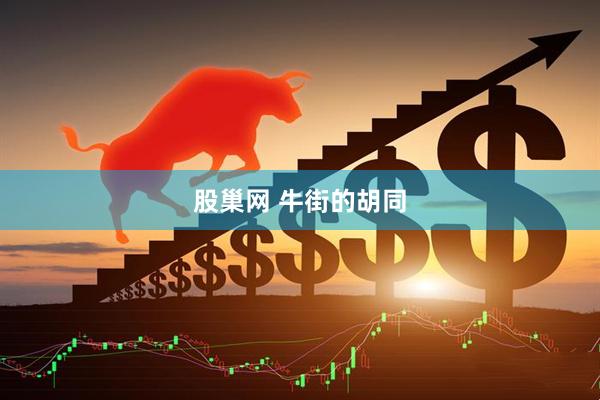 股巢网 牛街的胡同