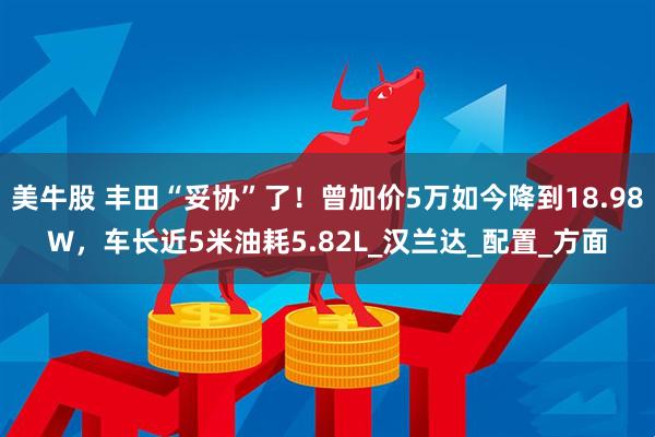 美牛股 丰田“妥协”了！曾加价5万如今降到18.98W，车长近5米油耗5.82L_汉兰达_配置_方面