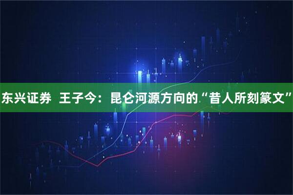 东兴证券  王子今：昆仑河源方向的“昔人所刻篆文”