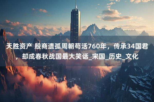 天胜资产 殷商遗孤周朝苟活760年，传承34国君，却成春秋战国最大笑话_宋国_历史_文化